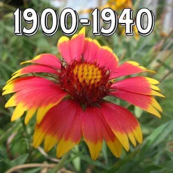 We have 1900-1939 - Picture 1 of 1